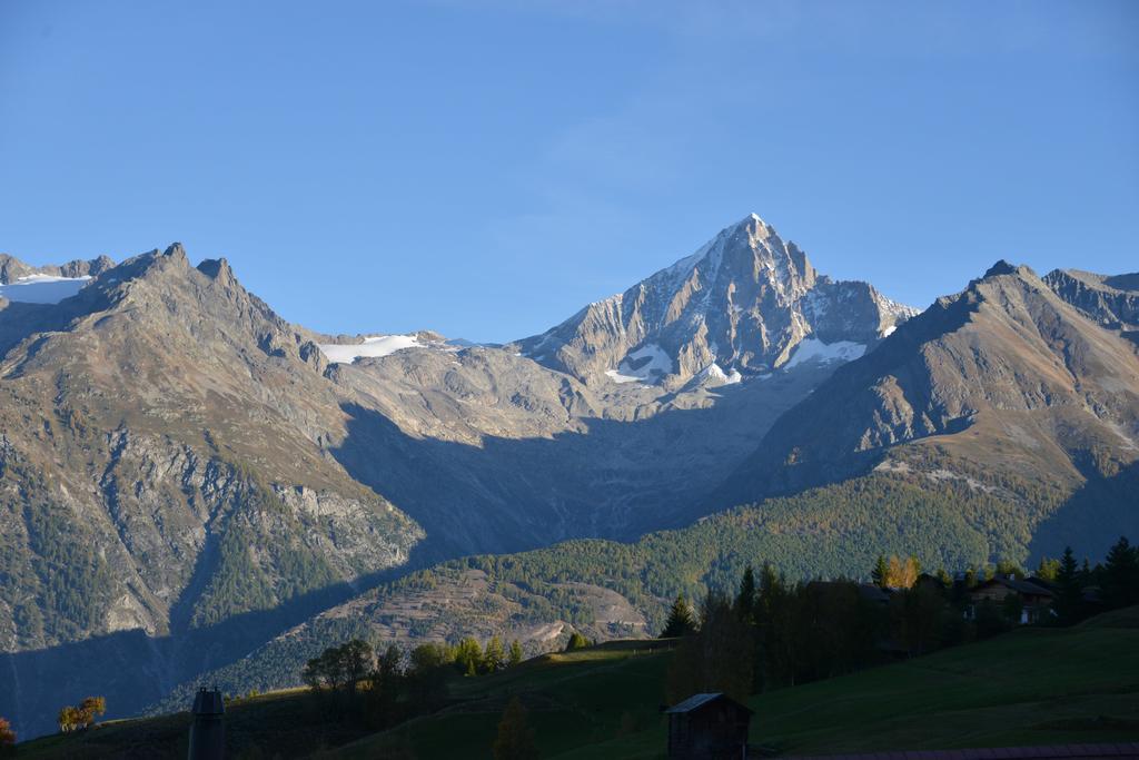 Hotel-Restaurant Ronalp Burchen Exterior photo